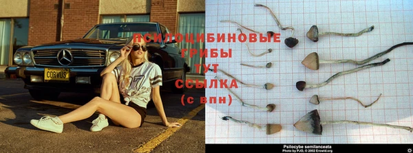 меф VHQ Надым