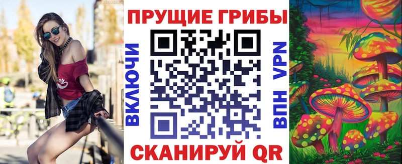 Псилоцибиновые грибы прущие грибы  купить   Фёдоровский 